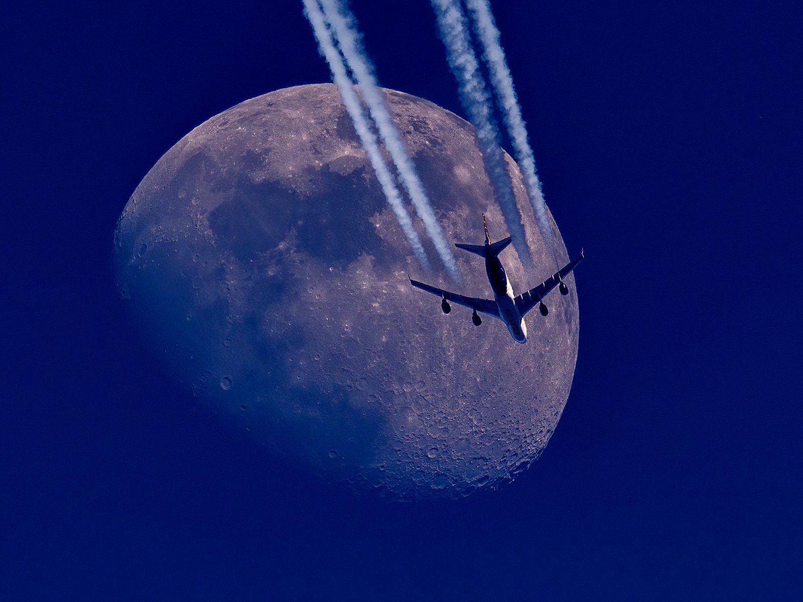 Photo: ../Photo_Competition/photos/2025-Art-runner-up_DavidM-Fly-me-to-the-Moon.jpg