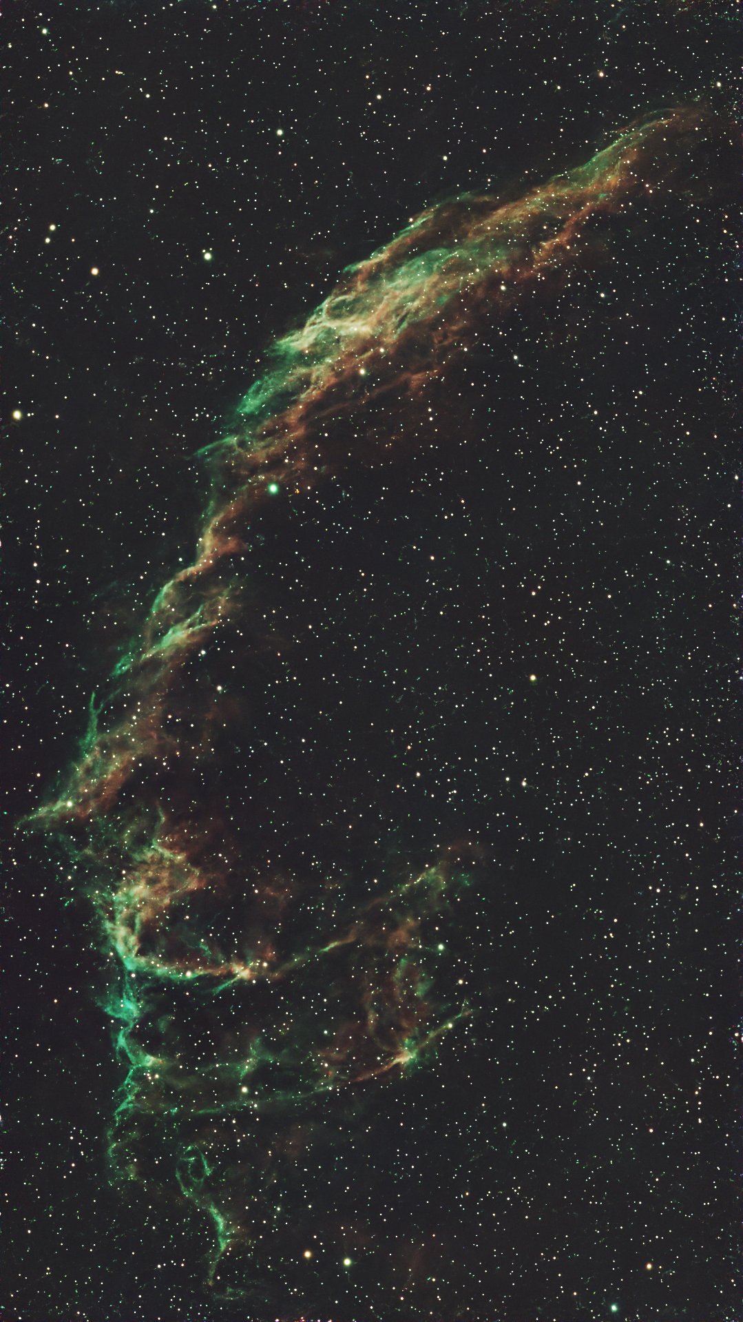 Photo: ../Photo_Competition/photos/2025-Deep-Sky-runner-up_AdrianD-NGC6960-Veil-Nebula.jpg